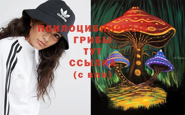 кристаллы Бородино