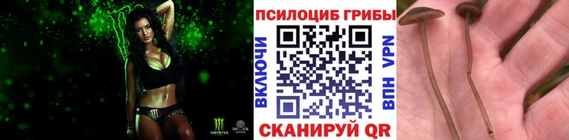 Псилоцибиновые грибы GOLDEN TEACHER  Пермь 